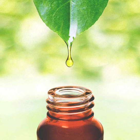 Drop of Holistic Drop